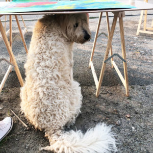 Knut800x800